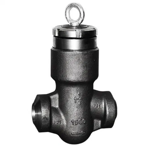 Forged Steel High Pressure Check Valve